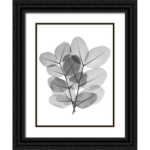 Koetsier, Albert 25x32 Black Ornate Wood Framed with Double Matting Museum Art Print Titled - Leafy Bunch