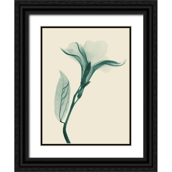 Koetsier, Albert 25x32 Black Ornate Wood Framed with Double Matting Museum Art Print Titled - Lucky Oleander 1