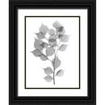 thumbnail image 1 of Koetsier, Albert 25x32 Black Ornate Wood Framed with Double Matting Museum Art Print Titled - Myrtle Tree L182, 1 of 4