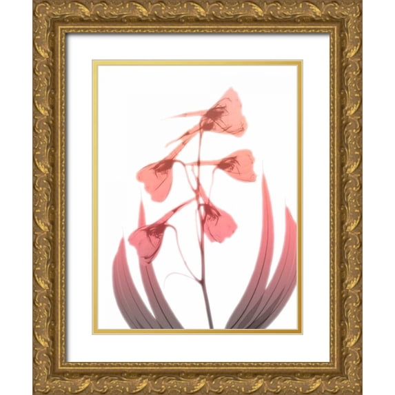 Koetsier, Albert 25x32 Gold Ornate Wood Framed with Double Matting Museum Art Print Titled - Burning Phoenix 2