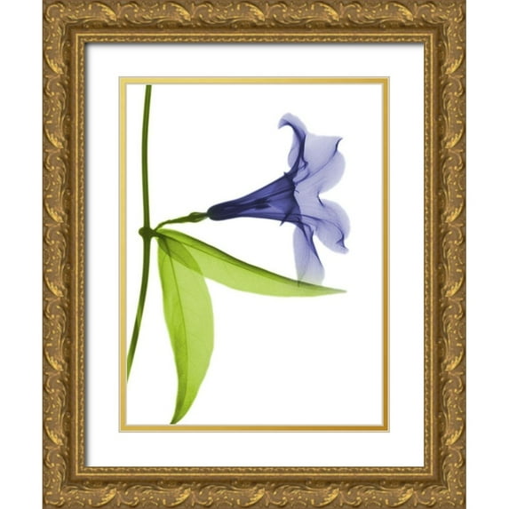 Koetsier, Albert 25x32 Gold Ornate Wood Framed with Double Matting Museum Art Print Titled - Embracing Delightful Tulips