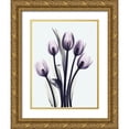 thumbnail image 1 of Koetsier, Albert 25x32 Gold Ornate Wood Framed with Double Matting Museum Art Print Titled - Essentially Tulips, 1 of 4
