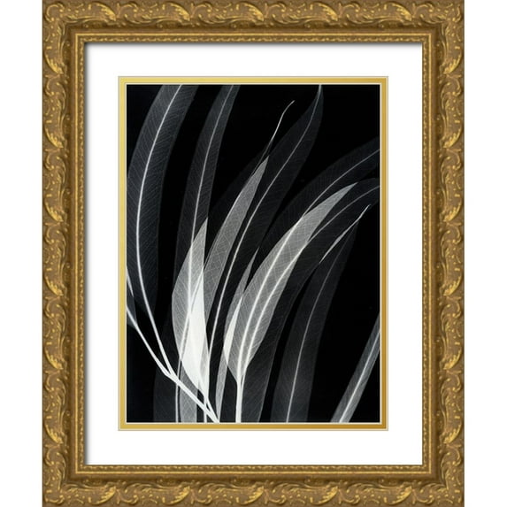 Koetsier, Albert 25x32 Gold Ornate Wood Framed with Double Matting Museum Art Print Titled - Eucalyptus 2