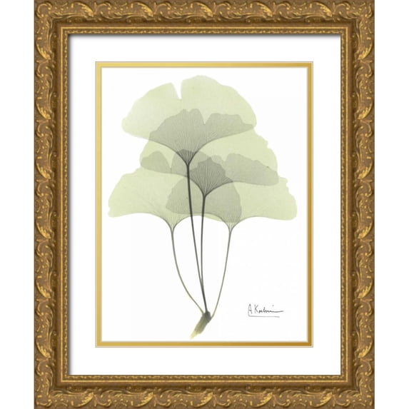 Koetsier, Albert 25x32 Gold Ornate Wood Framed with Double Matting Museum Art Print Titled - Gingko in Pale Green