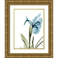 thumbnail image 1 of Koetsier, Albert 25x32 Gold Ornate Wood Framed with Double Matting Museum Art Print Titled - Iris B76, 1 of 4