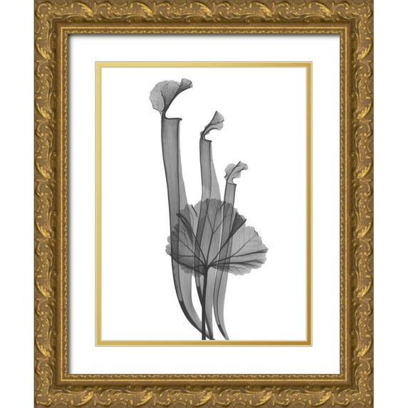 Koetsier, Albert 25x32 Gold Ornate Wood Framed with Double Matting Museum Art Print Titled - Marching Floral