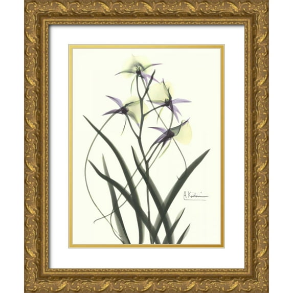Koetsier, Albert 25x32 Gold Ornate Wood Framed with Double Matting Museum Art Print Titled - Orchids a Plenty in Purple and Yellow