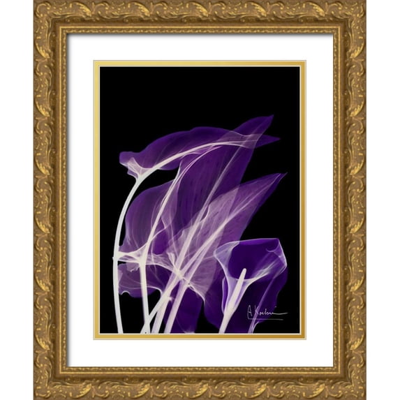 Koetsier, Albert 25x32 Gold Ornate Wood Framed with Double Matting Museum Art Print Titled - Purple Calla