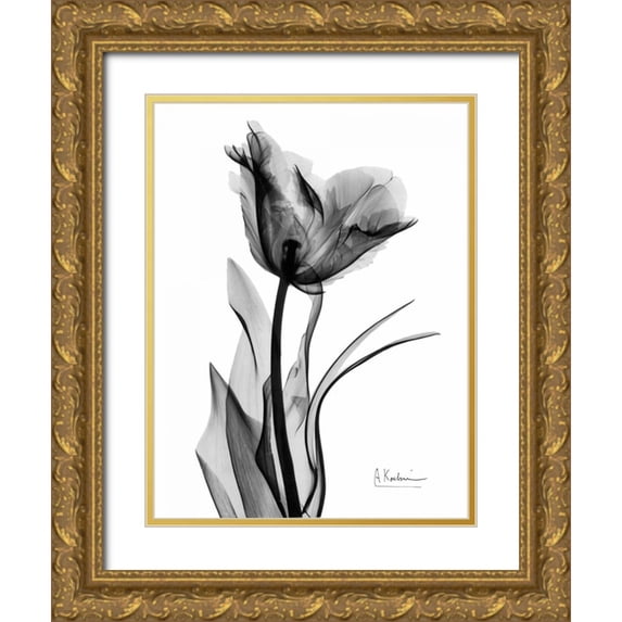 Koetsier, Albert 25x32 Gold Ornate Wood Framed with Double Matting Museum Art Print Titled - Single Tulip in BandW