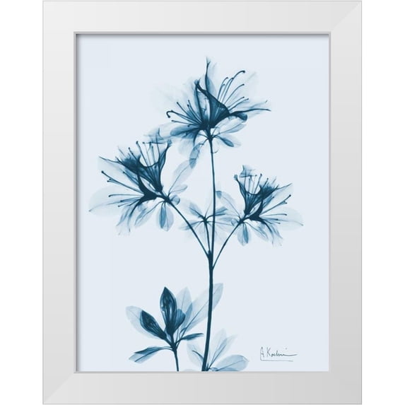 Koetsier, Albert 25x32 White Modern Wood Framed Museum Art Print Titled - Azalea in Blue 2