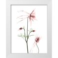 thumbnail image 1 of Koetsier, Albert 25x32 White Modern Wood Framed Museum Art Print Titled - Blush Columbine 2, 1 of 4