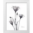 thumbnail image 1 of Koetsier, Albert 25x32 White Modern Wood Framed Museum Art Print Titled - Bouquet of Gentian in BandW, 1 of 4