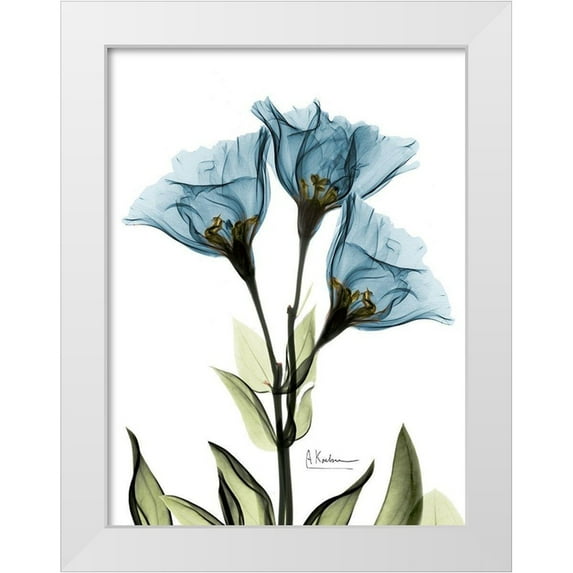 Koetsier, Albert 25x32 White Modern Wood Framed Museum Art Print Titled - Gentian Sapphire NuetBlue