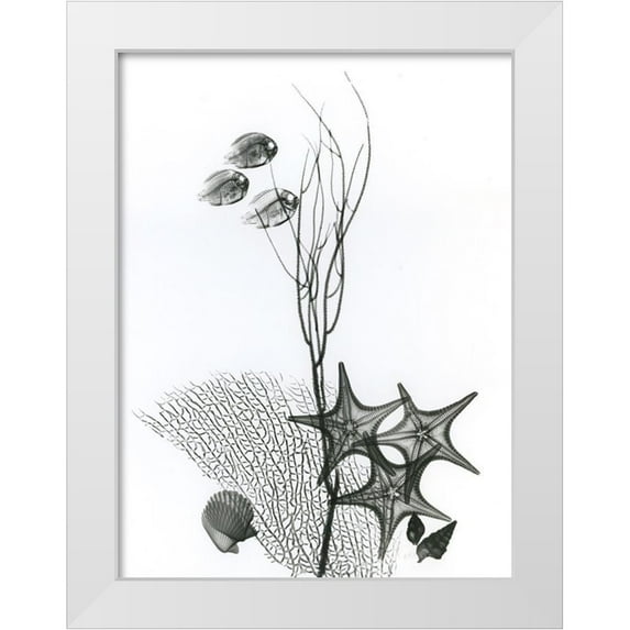 Koetsier, Albert 25x32 White Modern Wood Framed Museum Art Print Titled - Seascape