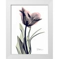 thumbnail image 1 of Koetsier, Albert 25x32 White Modern Wood Framed Museum Art Print Titled - Single Tulip in Color, 1 of 4