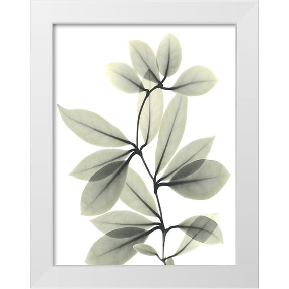 Koetsier, Albert 25x32 White Modern Wood Framed Museum Art Print Titled - Skybound 2