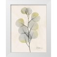 thumbnail image 1 of Koetsier, Albert 25x32 White Modern Wood Framed Museum Art Print Titled - Sunkissed Eucalyptus 4, 1 of 4