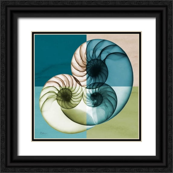 Koetsier, Albert 26x26 Black Ornate Wood Framed with Double Matting Museum Art Print Titled - Blue Green Shell 2