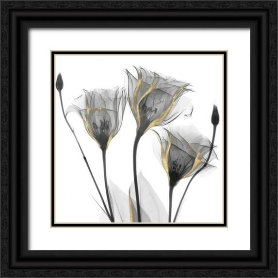 Koetsier, Albert 26x26 Black Ornate Wood Framed with Double Matting Museum Art Print Titled - Gold Embellished Gentians 1