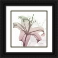 thumbnail image 1 of Koetsier, Albert 26x26 Black Ornate Wood Framed with Double Matting Museum Art Print Titled - Neapolitan Lily, 1 of 4
