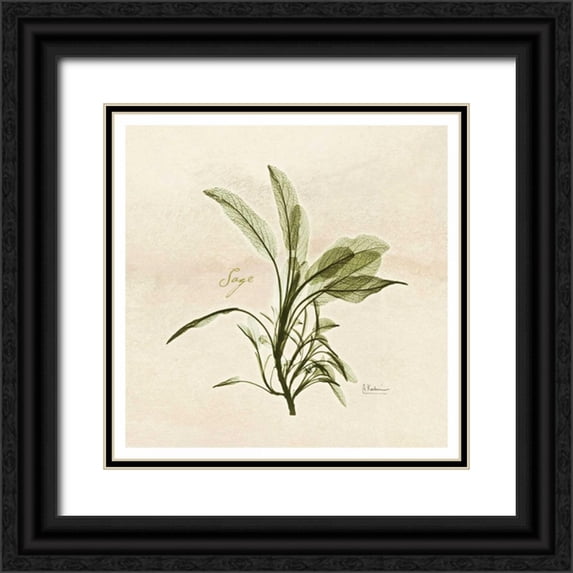 Koetsier, Albert 26x26 Black Ornate Wood Framed with Double Matting Museum Art Print Titled - Sage in Bloom
