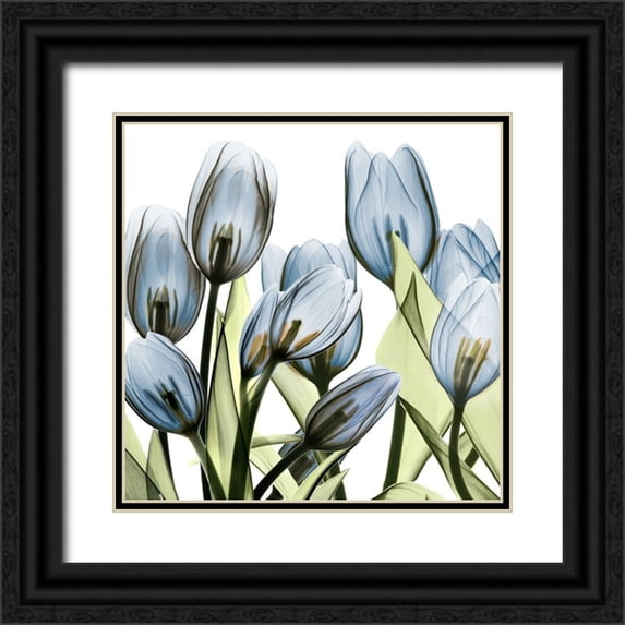 Koetsier, Albert 26x26 Black Ornate Wood Framed with Double Matting Museum Art Print Titled - Tulip Blues 1