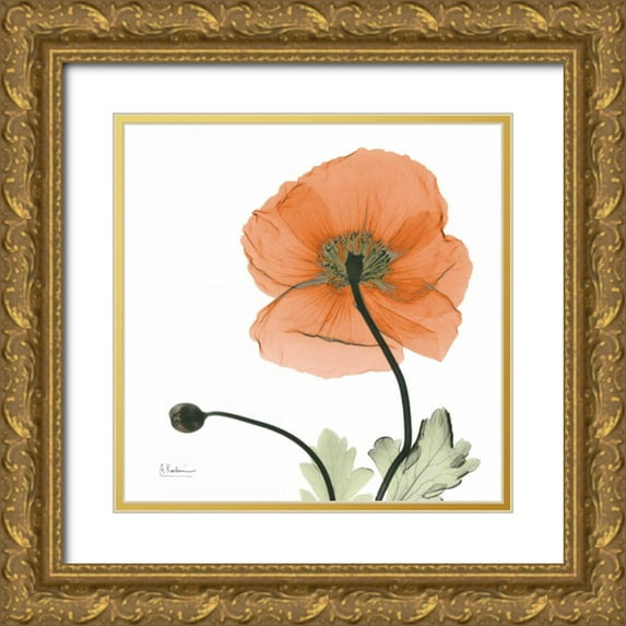 Koetsier, Albert 26x26 Gold Ornate Wood Framed with Double Matting Museum Art Print Titled - A Gift of Flowers in Orange