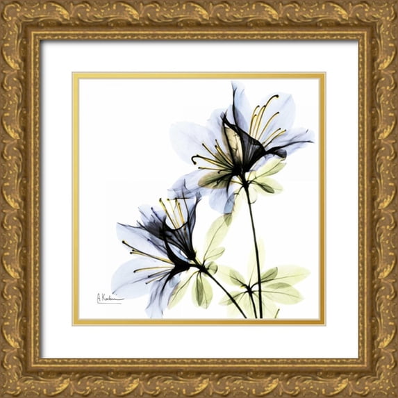 Koetsier, Albert 26x26 Gold Ornate Wood Framed with Double Matting Museum Art Print Titled - Blue Twin Azalea in Bloom