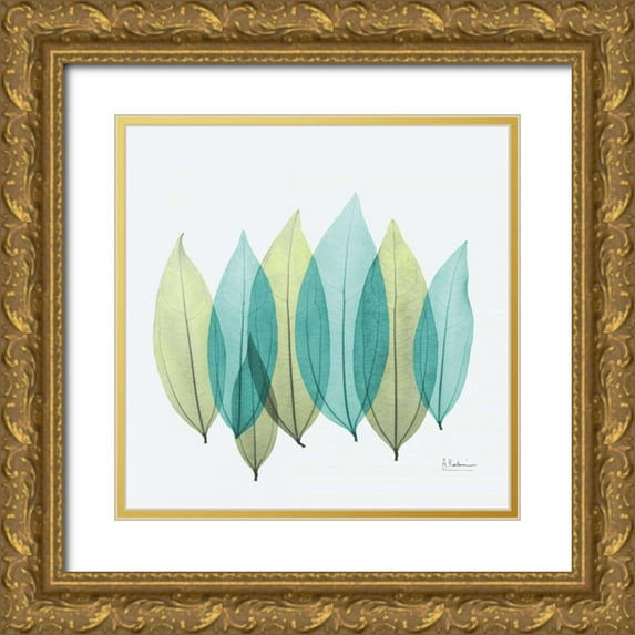 Koetsier, Albert 26x26 Gold Ornate Wood Framed with Double Matting Museum Art Print Titled - Coculus Leaf L348