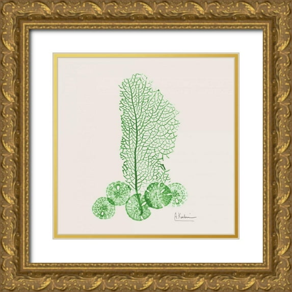 Koetsier, Albert 26x26 Gold Ornate Wood Framed with Double Matting Museum Art Print Titled - Emerald Sea Fan and Sand Dollar