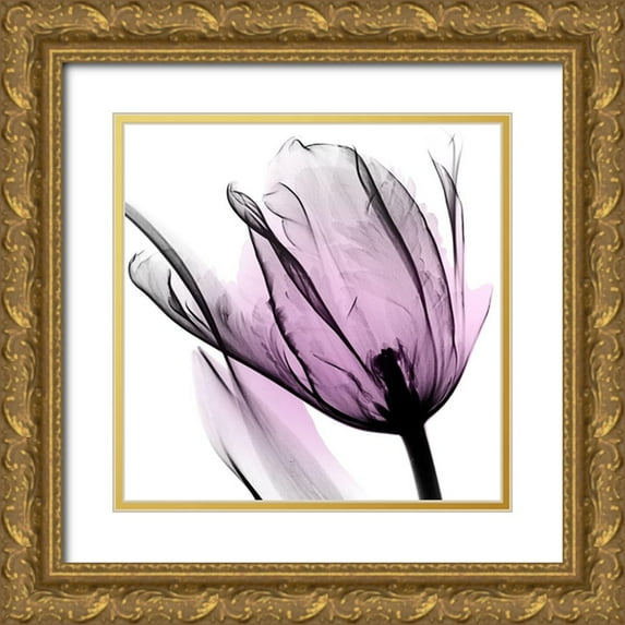Koetsier, Albert 26x26 Gold Ornate Wood Framed with Double Matting Museum Art Print Titled - Illuminated Tulip