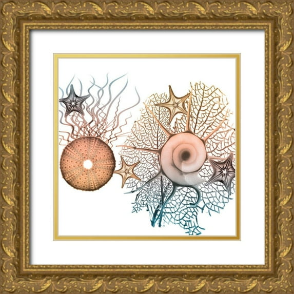 Koetsier, Albert 26x26 Gold Ornate Wood Framed with Double Matting Museum Art Print Titled - Ocean Bundles 1
