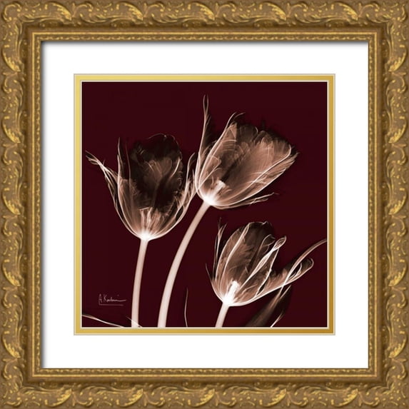 Koetsier, Albert 26x26 Gold Ornate Wood Framed with Double Matting Museum Art Print Titled - Tabitha Tulip Trio