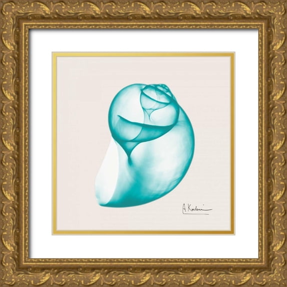 Koetsier, Albert 26x26 Gold Ornate Wood Framed with Double Matting Museum Art Print Titled - Viridian Water Snail