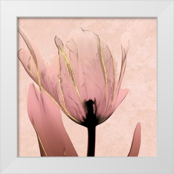 Koetsier, Albert 26x26 White Modern Wood Framed Museum Art Print Titled - Alizarin Marble Splendor 1