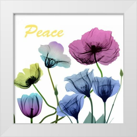 Koetsier, Albert 26x26 White Modern Wood Framed Museum Art Print Titled - Floral Rainbow Peace