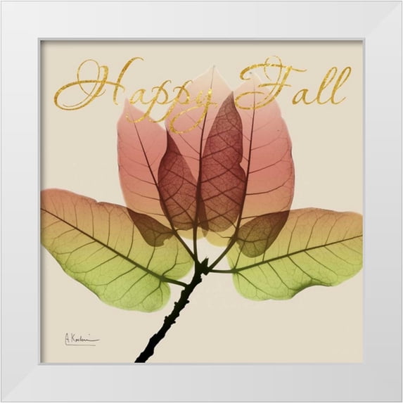 Koetsier, Albert 26x26 White Modern Wood Framed Museum Art Print Titled - Happy Ficus Burkey