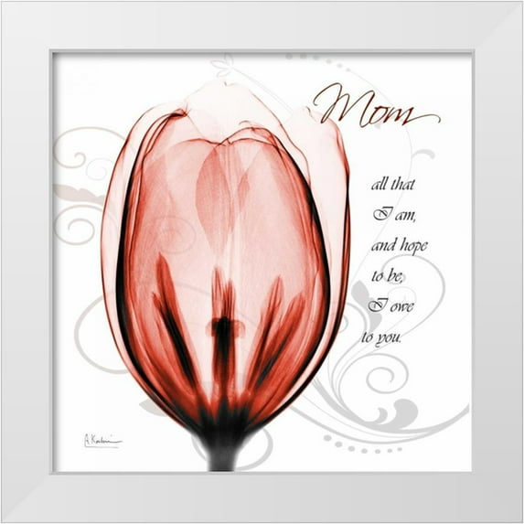Koetsier, Albert 26x26 White Modern Wood Framed Museum Art Print Titled - Happy Tulip in Red - Mom