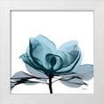 thumbnail image 1 of Koetsier, Albert 26x26 White Modern Wood Framed Museum Art Print Titled - Midnight Magnolia 2, 1 of 4