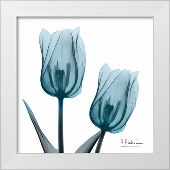 Koetsier, Albert 26x26 White Modern Wood Framed Museum Art Print Titled - Midnight Sky Duo 2
