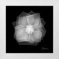 thumbnail image 1 of Koetsier, Albert 26x26 White Modern Wood Framed Museum Art Print Titled - Rose Petals 2, 1 of 4