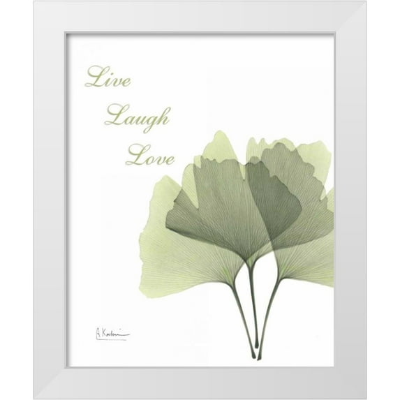 Koetsier, Albert 26x31 White Modern Wood Framed Museum Art Print Titled - Ginkgo - Live