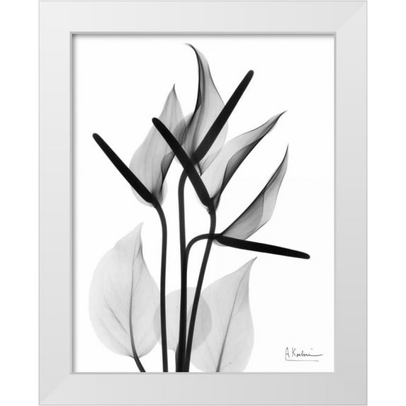 Koetsier, Albert 26x32 White Modern Wood Framed Museum Art Print Titled - Flamingo Cq