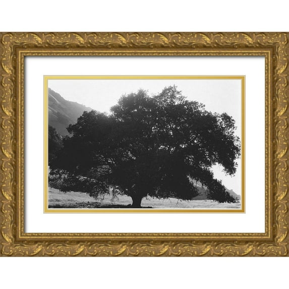 Koetsier, Albert 32x23 Gold Ornate Wood Framed with Double Matting Museum Art Print Titled - Bush Breeze