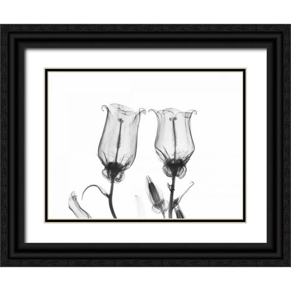 Koetsier, Albert 32x25 Black Ornate Wood Framed with Double Matting Museum Art Print Titled - Canterbury Bell Duo