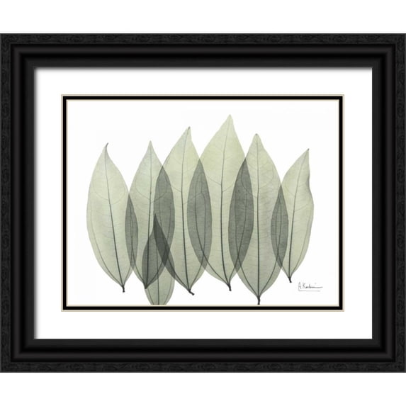 Koetsier, Albert 32x25 Black Ornate Wood Framed with Double Matting Museum Art Print Titled - Coculus Leaf In Green
