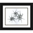 thumbnail image 1 of Koetsier, Albert 32x25 Black Ornate Wood Framed with Double Matting Museum Art Print Titled - Star Shell, 1 of 4