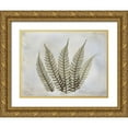 thumbnail image 1 of Koetsier, Albert 32x25 Gold Ornate Wood Framed with Double Matting Museum Art Print Titled - Fern, 1 of 4
