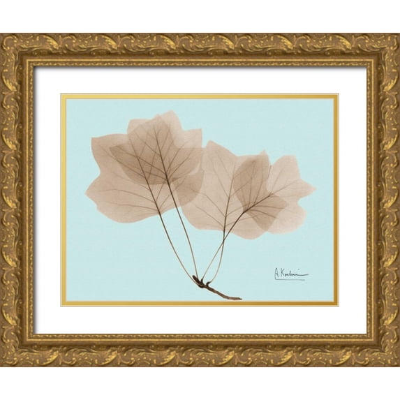 Koetsier, Albert 32x25 Gold Ornate Wood Framed with Double Matting Museum Art Print Titled - Tulip Tree in Brown on Blue