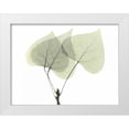 thumbnail image 1 of Koetsier, Albert 32x25 White Modern Wood Framed Museum Art Print Titled - Aspen, 1 of 4